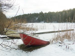 Ekor vid sjön Sjöhamra