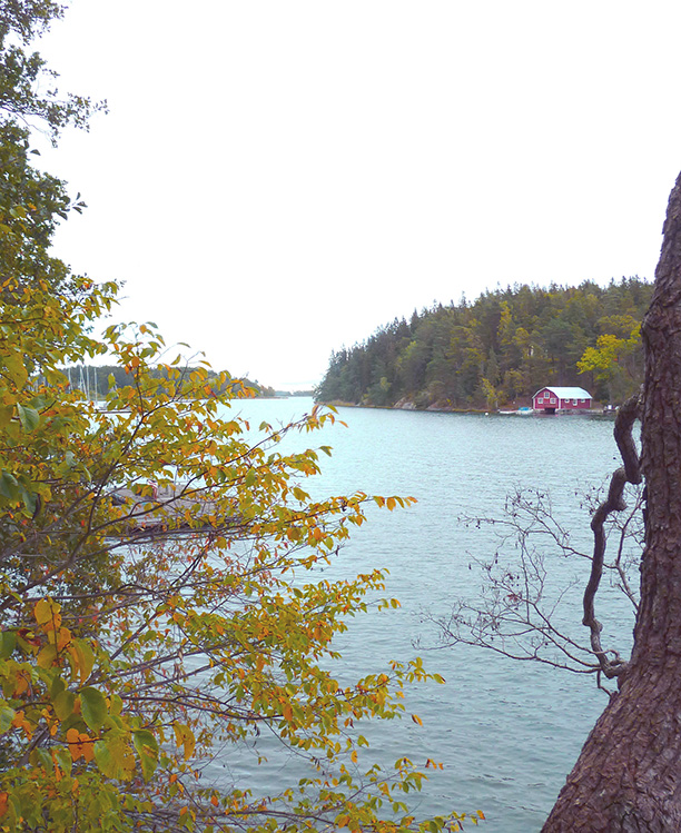 Höst vid havet