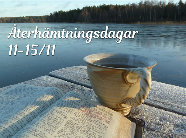 Återhämtningsdagar-nov-2