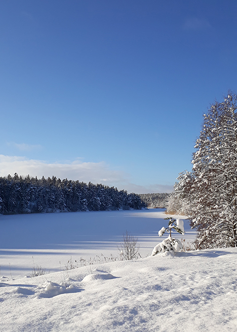 Långsjön vinter