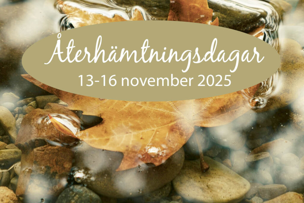 Återhämtningsdagar nov 2025 alt 2